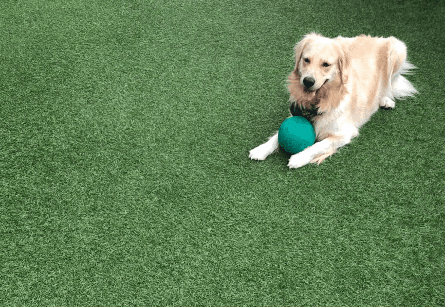 しばんちゅえひめの施工事例画像